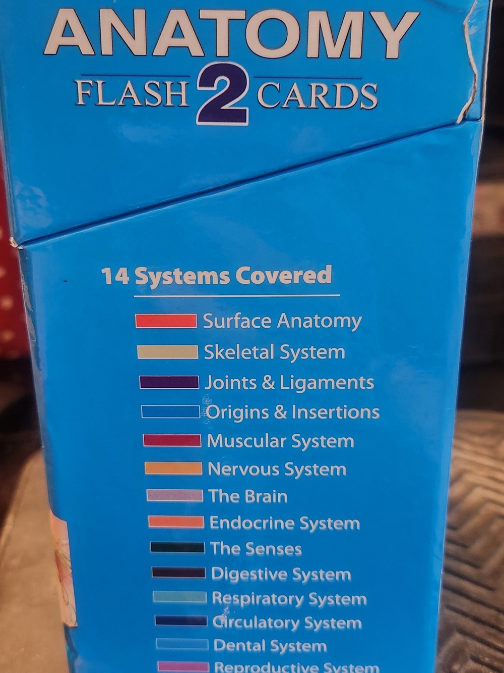 ANATOMY Flash Cards 300-Card Set by QuickStudy - Blue - Picture 2 of 3